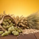 Barley Wheat Hop